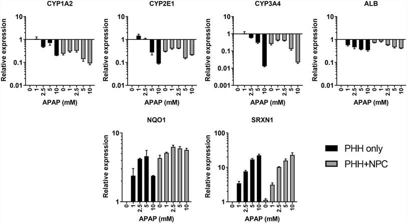 Acetaminophen causes alterations in cytochrome P450 enzyme levels and increases markers of oxidative stress.