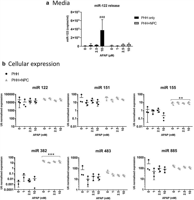 The presence of hepatic non-parenchymal cells affects the changes in miRNA expression and release following APAP treatment.