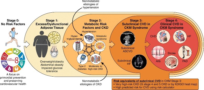 Fig.1: Progression of CKM syndrome showing metabolic, cardiac, and renal dysfunction stages.