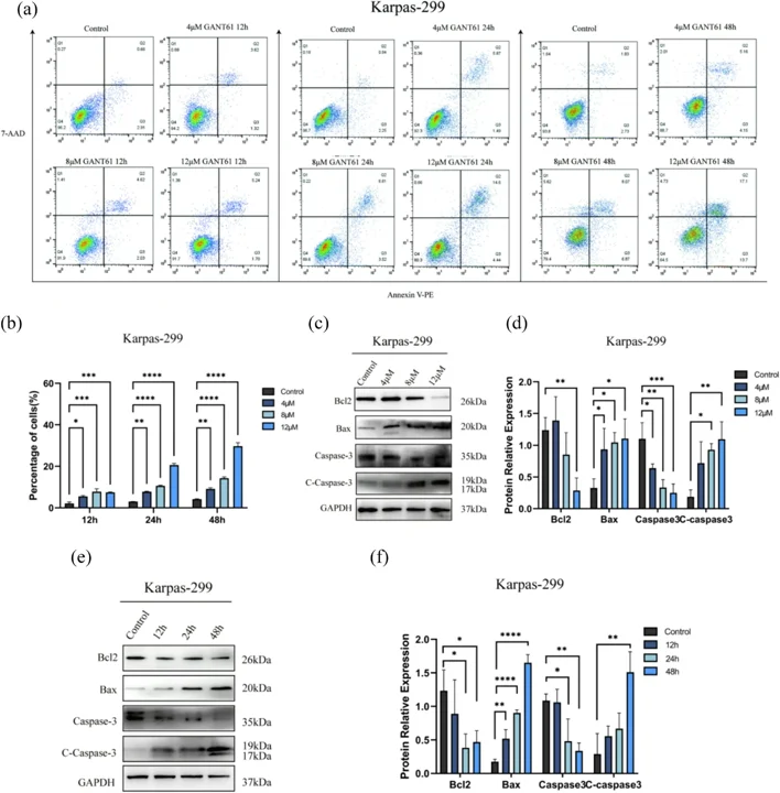 The effect of GANT61 on apoptosis in ALK + ALCL cell line Karpas-299.