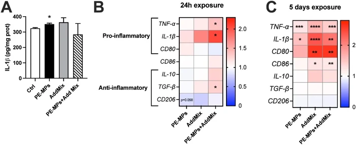 PE-MPs and additives activate THP-1 macrophages with pro-inflammatory features.
